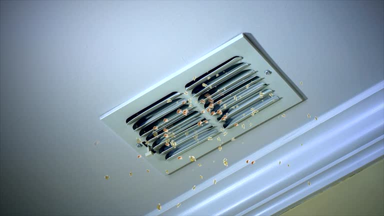 Air Duct Mold Removal in WI