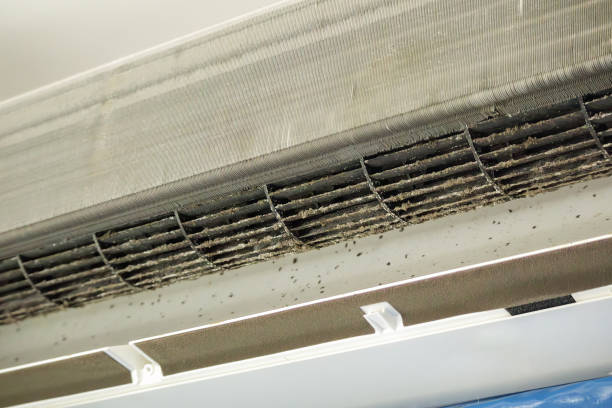 Best Professional Duct Cleaning Services  in Ashland, WI